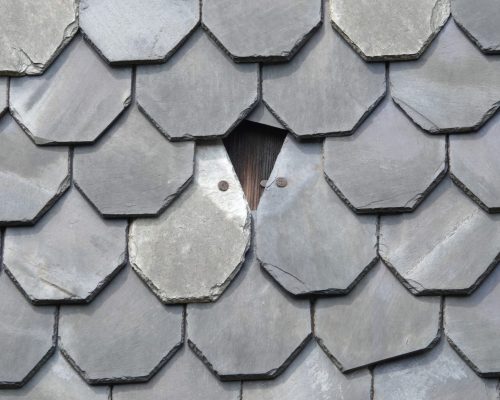 4 Warning Signs Your Langhorne Roof Is In Disrepair: Never Ignore